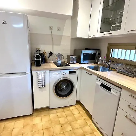 Magnolia * Vallauris